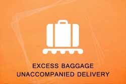 Excess Baggage Unaccompanied Delivery